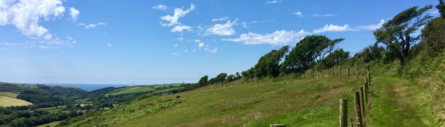 A new chapter for Kilkhampton Common